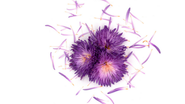 6 effective ways to grow your blog massively