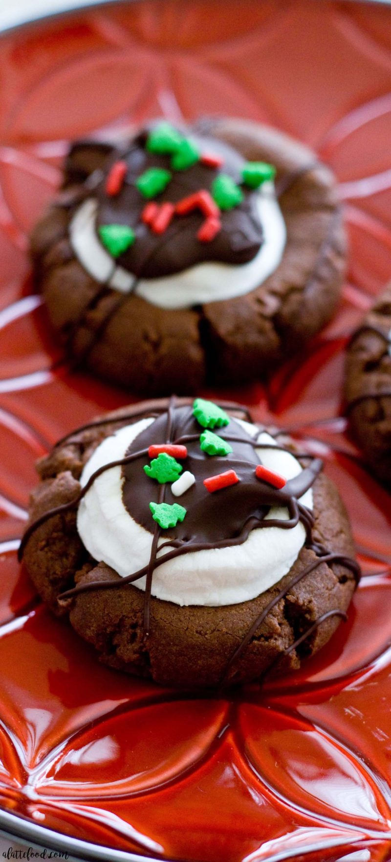 19 Easy delicious Christmas cookie recipes you must try this holiday ...