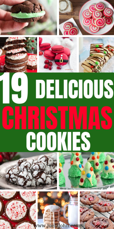 19 Easy Delicious Christmas Cookie Recipes You Must Try This Holiday 