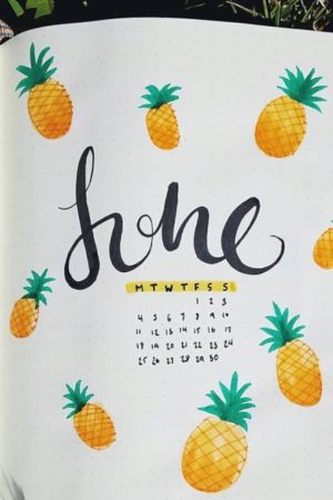 Bujo covers for June