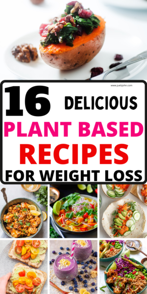 16 Best Plant Based Recipes That'll Wow Everyone - Juelzjohn