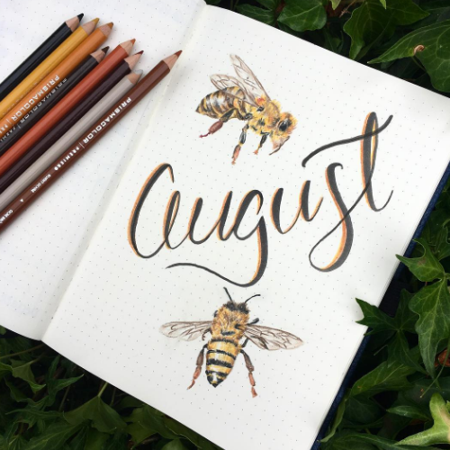 bullet journal ideas for August.