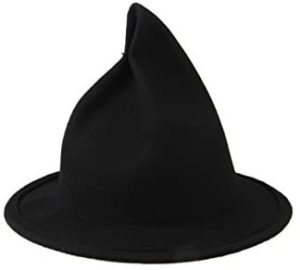 Pointed witch hat