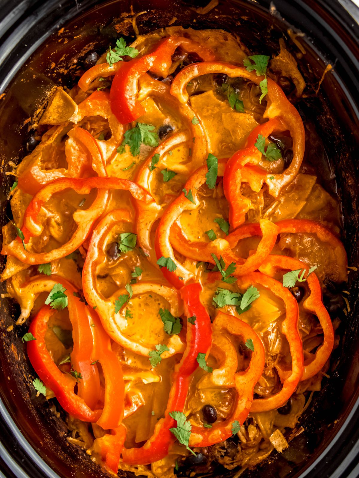 Fall crockpot recipes