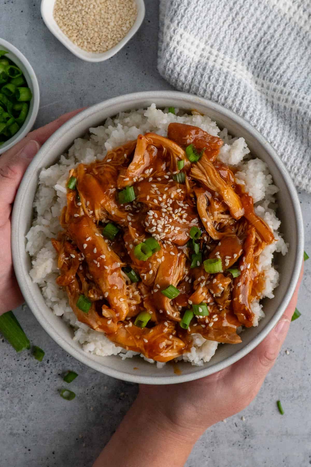 fall crockpot recipes